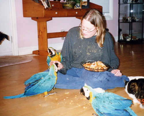 2003_06_macaws_04
