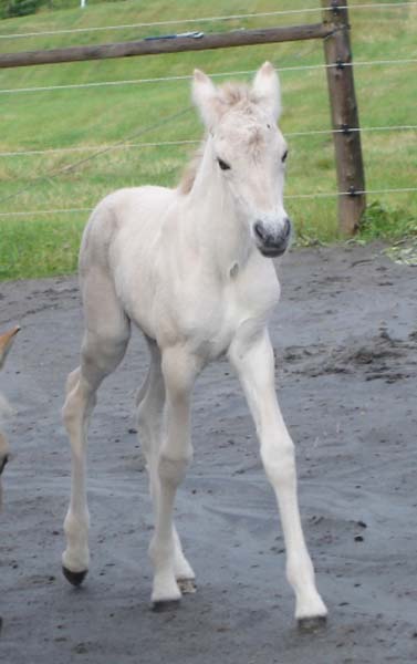 2004_0714_birgitta_059_resize