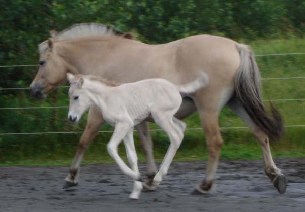 2004_0714_birgitta_069_resize