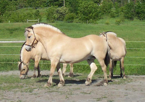 2004_0605_2arrival_07_resize