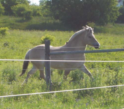 2004_0702_buster_001_resize