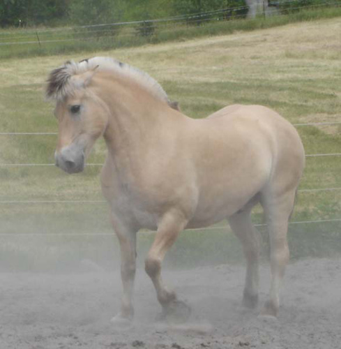 2004_0707_valena_buster_007_resize