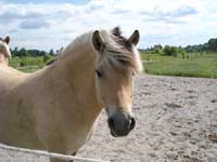 2004_0619_clara_002