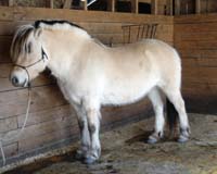 2006_0305_clara_12_resize