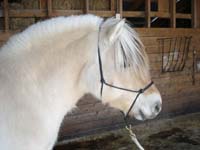 2006_0305_clara_29_resize