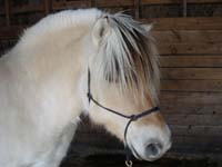 2006_0305_clara_30_resize