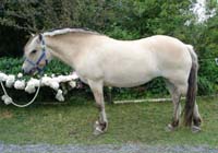 2006_0617_clara_68