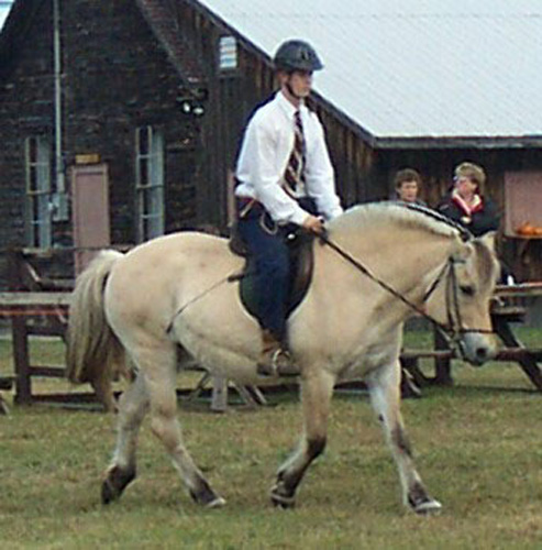 d25_mv_dora_2002_sept15_08_resize