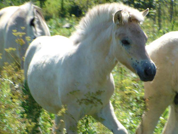 2005_0806_fiorgyn_17_send