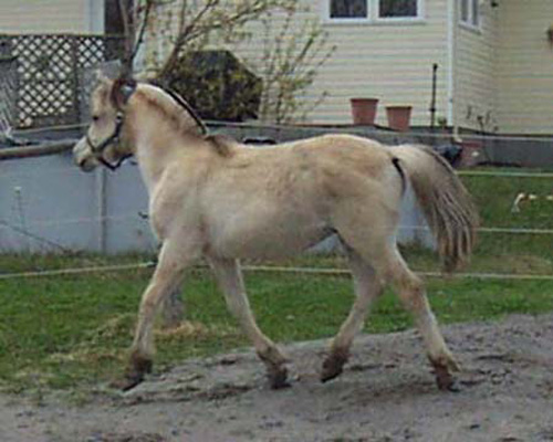 i20_2004_0502_18_resize