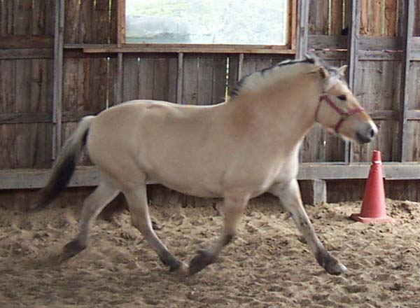 2004_0522_princess_09_resize