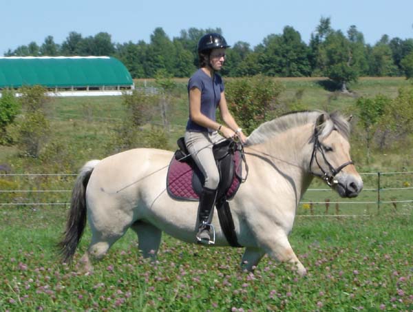 2004_0905_princess_007_crop