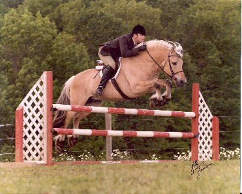 stallion_flotjump