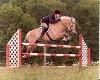 stallion_flotjump