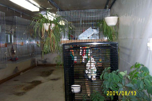room_2001_0813a
