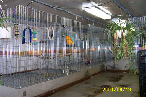room_2001_0813c