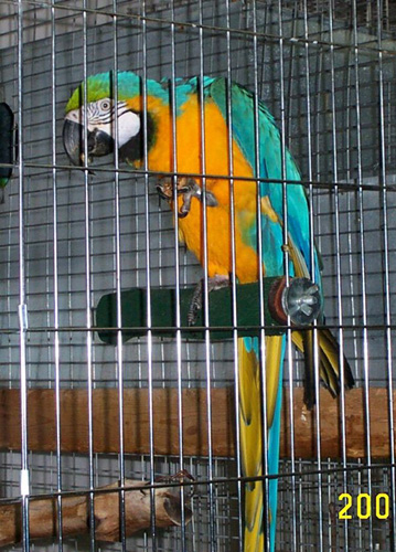 zack_2001_0813as