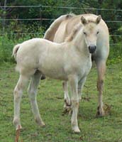 p14_2003_0719_01_resize