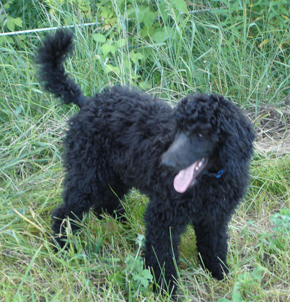 2005_0720_bella_01