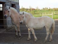 r07_valena_rose_may_2002_10