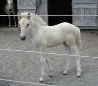 2005_0722_ulfrun_02_resize