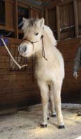 2006_0226_ulfrun_07