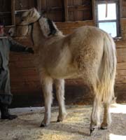 2006_0226_ulfrun_21_resize