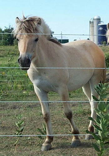 v07_val_2001_0812as