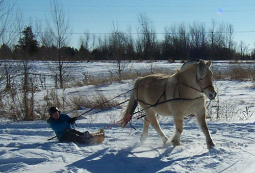 t09_tory_toboggan_jan12_2003_12_cs