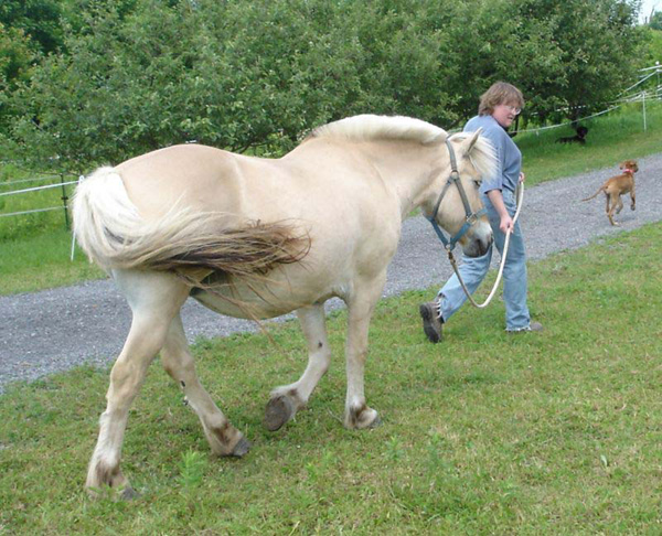 t26_2006_0617_viktoria_85