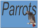 Display Parrots Menu